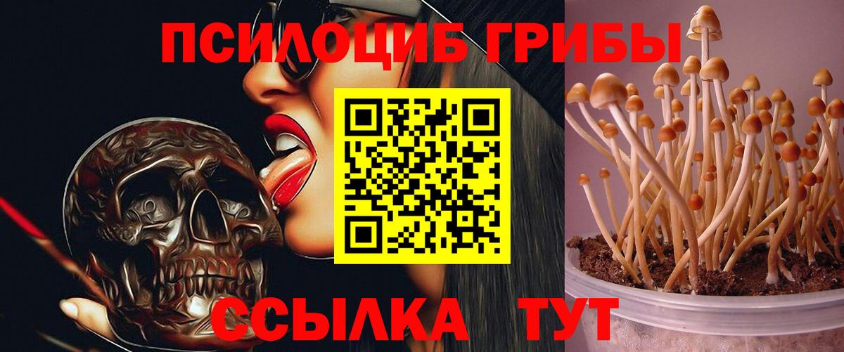 Галлюциногенные грибы мицелий  Вход с VPN  Костомукша  Псилоцибиновые грибы Cubensis 