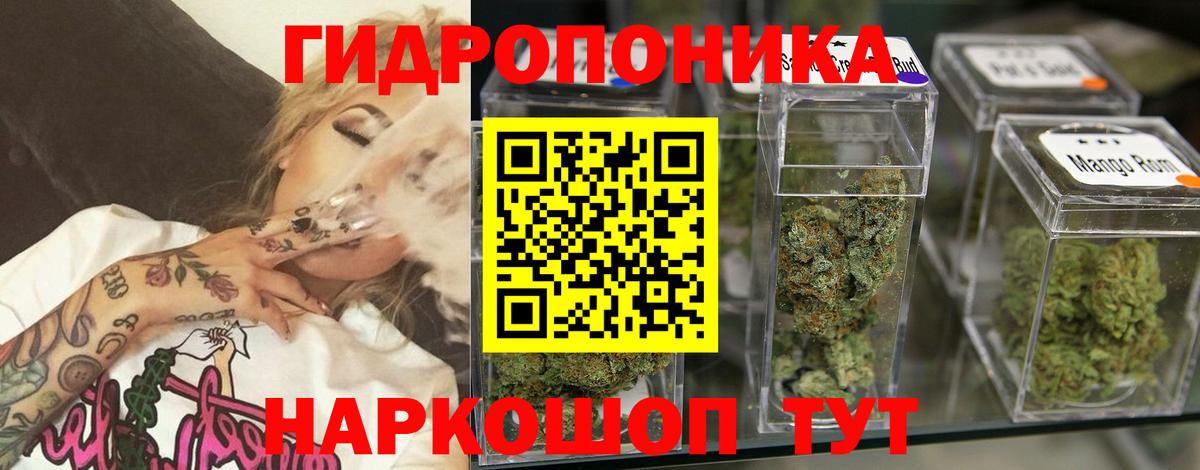 МАРИХУАНА SATIVA & INDICA  Вход с VPN  Костомукша  Каннабис сатива  Бошки марихуана OG Kush 